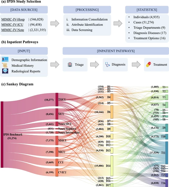 MAP: IPDS study selection, inpatient pathways, and patient-flow statistics