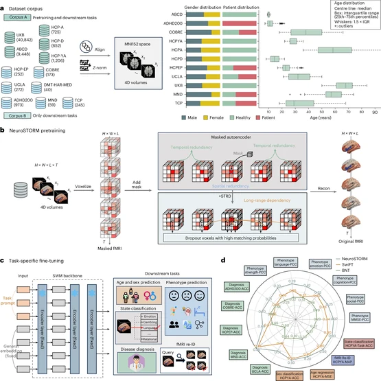 NeuroSTORM: dataset corpus, fMRI pretraining, task-specific fine-tuning, and downstream evaluation